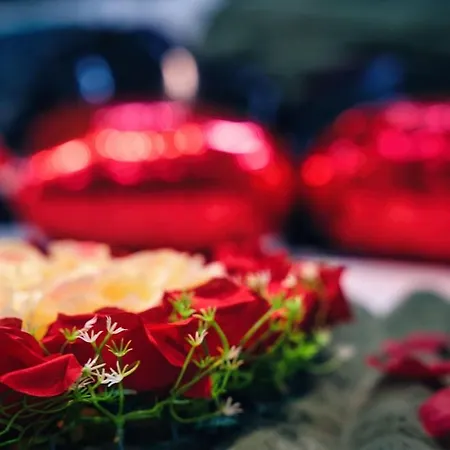 Apartment Le Petit Sensual Bali Option 300m Place Stanislas *